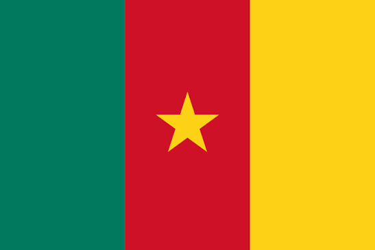 Drapeau Cameroun